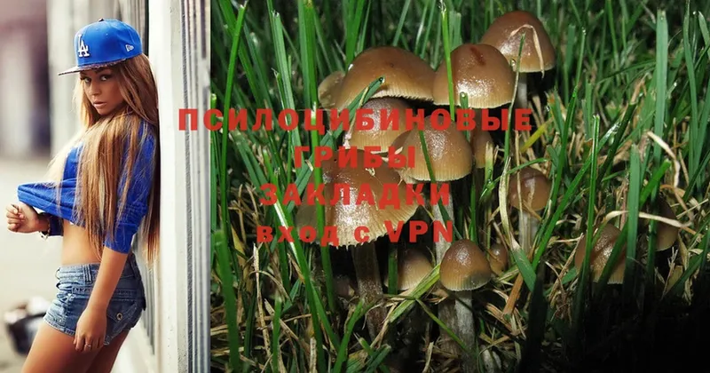 Псилоцибиновые грибы MAGIC MUSHROOMS Когалым